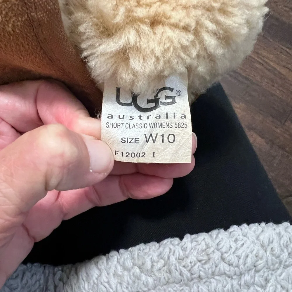 UGG australia short
